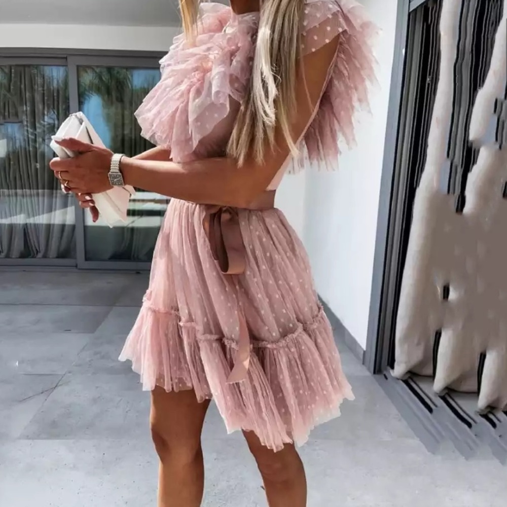 Pink Blush Ruffle Tulle Elegant Pleated Dress - Picture 2 of 16